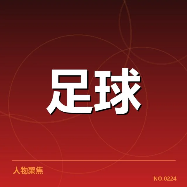 巴西甲联赛防守数据的具体表现